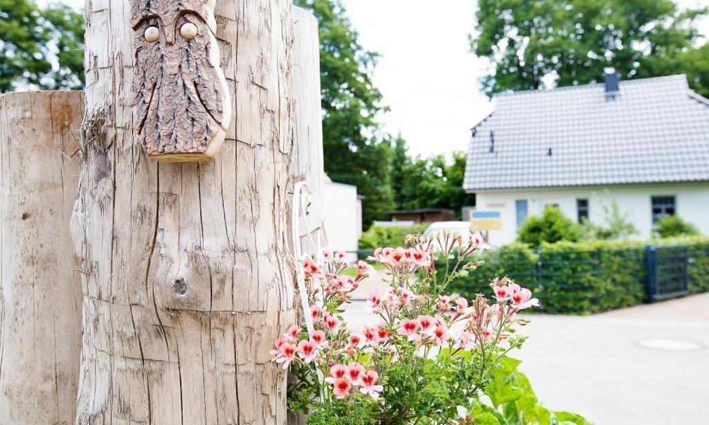 Sonnenblumenhaus 01 Apartment Prerow Luaran gambar
